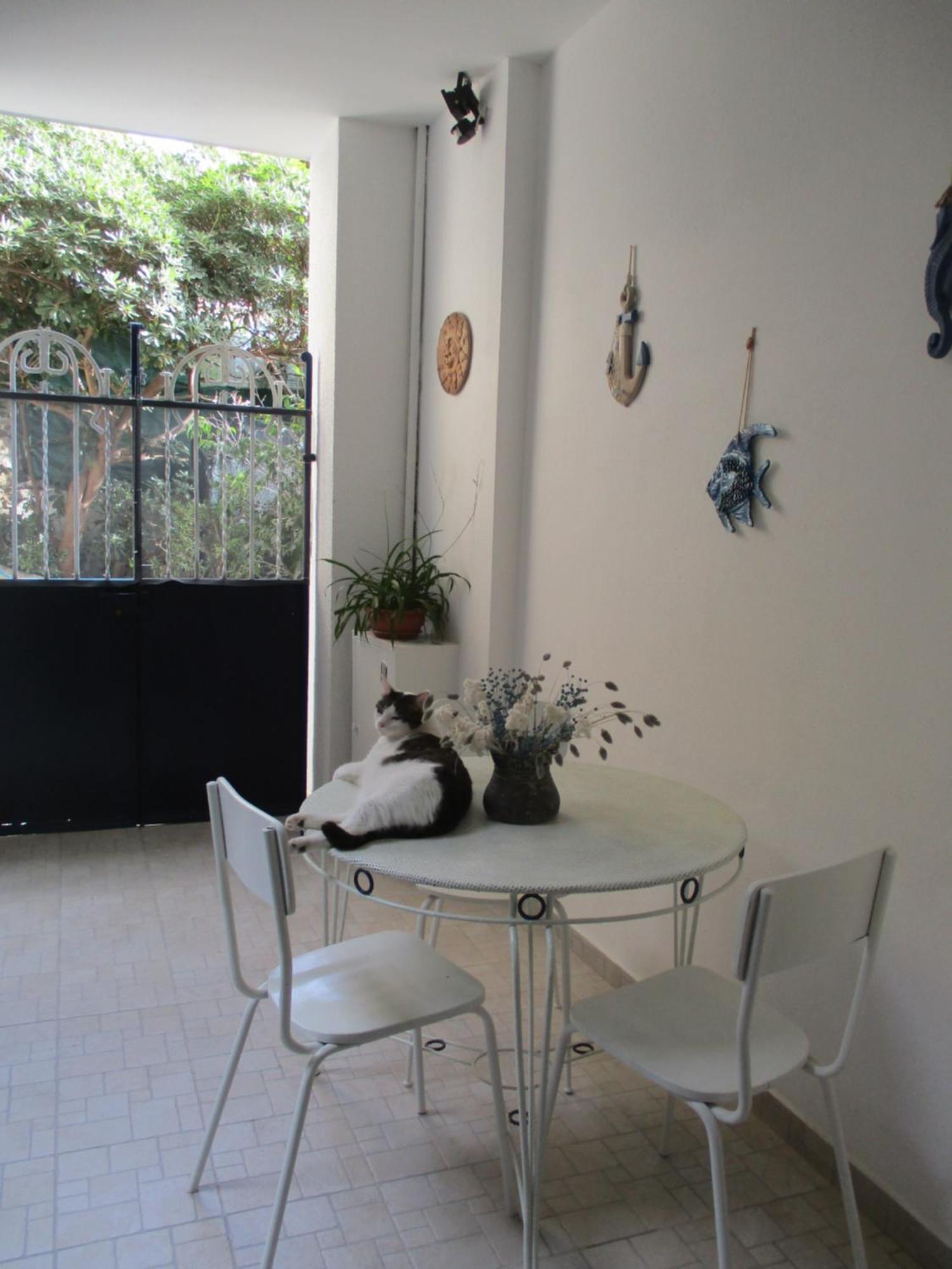 La Casa Del Nespolo Tranquillo Alloggio Vicino Alla Stazione San Remo Exterior foto